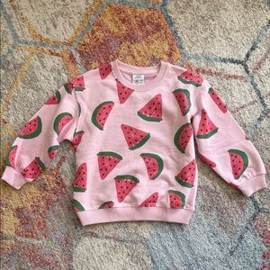 Zara Pink Watermelon Pattern Sweatshirt